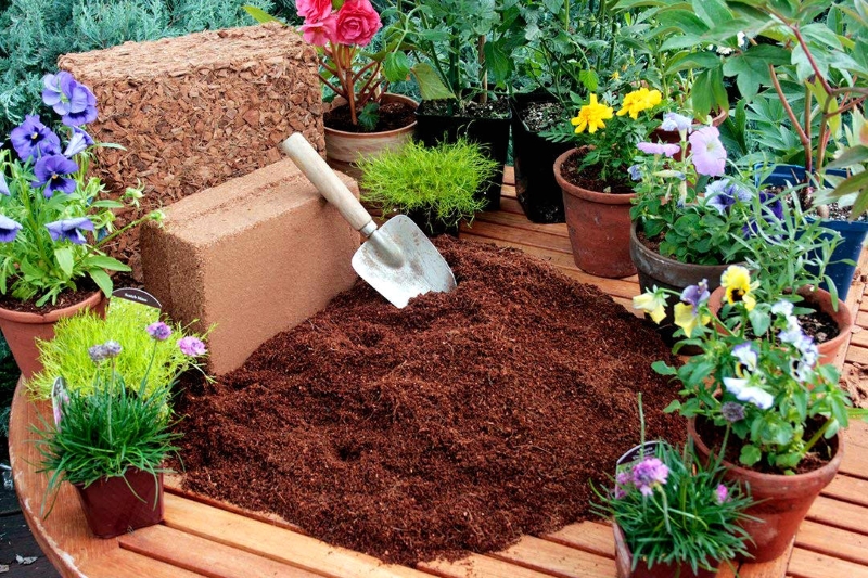 Cocopeat Powder